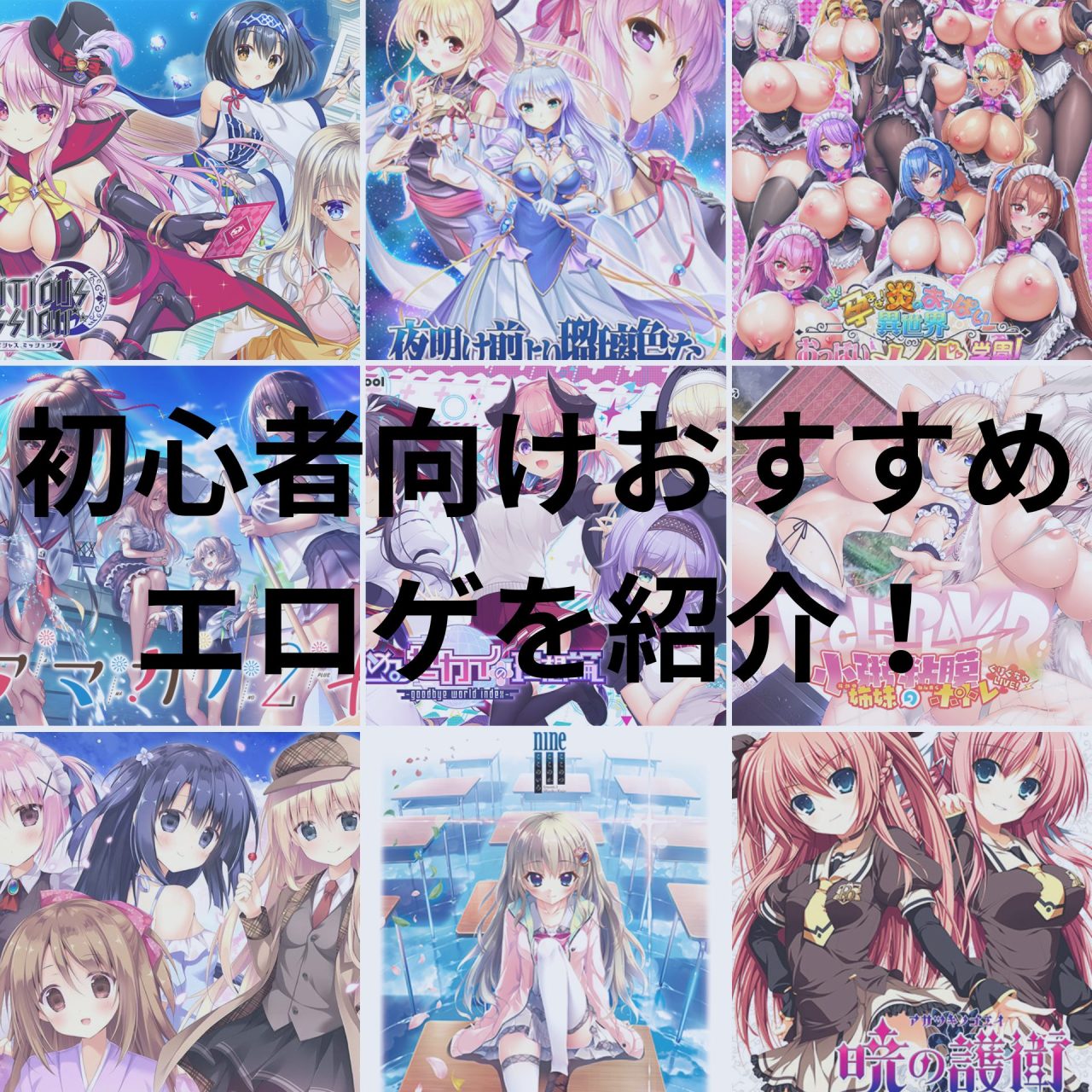 初心者向けおすすめエロゲを紹介！のサムネ