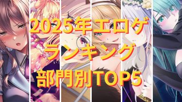 2025年エロゲランキグ!【部門別TOP5!】